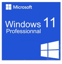 windows_11_professionnal