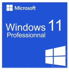 windows_11_professionnal_1886498148