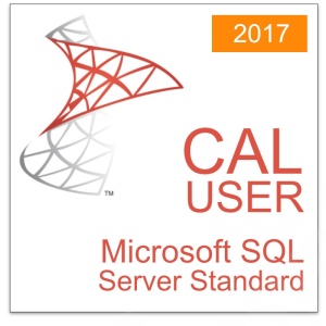 nn_sql_2017_server_std_cal_user_1485455427