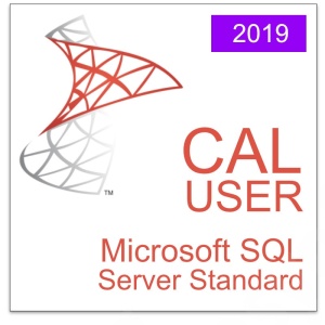 nn_sql_2019_server_std_cal_user_905259575