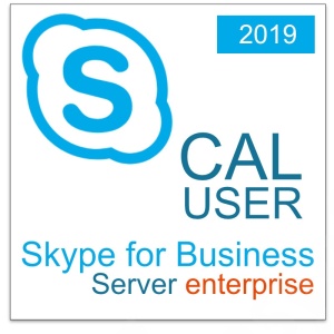 nv_skype_enterprise_server_2019_cal_user