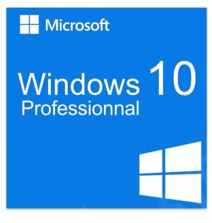 windows_10_professionnal_1381241979