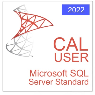 nn_sql_2022_server_std_cal_user_513982547