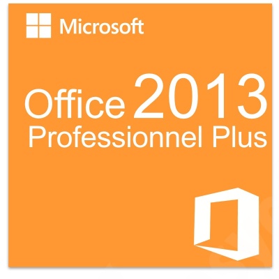 office_professionnel_plus_2013