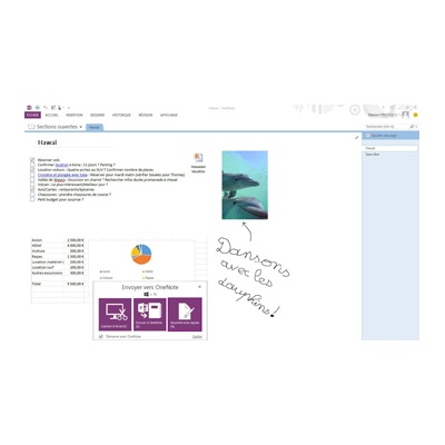 onenote