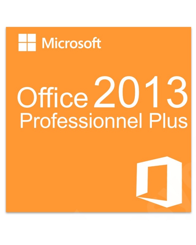 office_professionnel_plus_2013