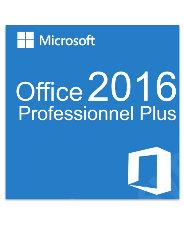 office_professionnel_plus_2016